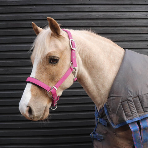 Luxury Padded Headcollar - Small Pony