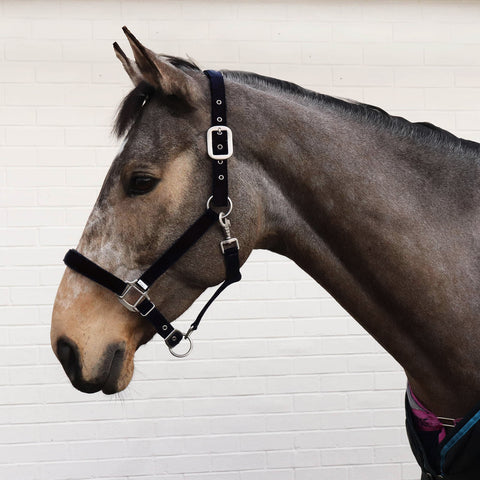 Luxury Padded Headcollar - Small Pony